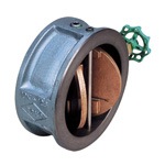 10-FNW-250A
