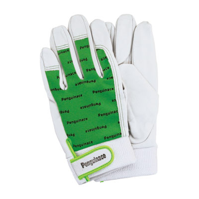 TH-543-PU-F